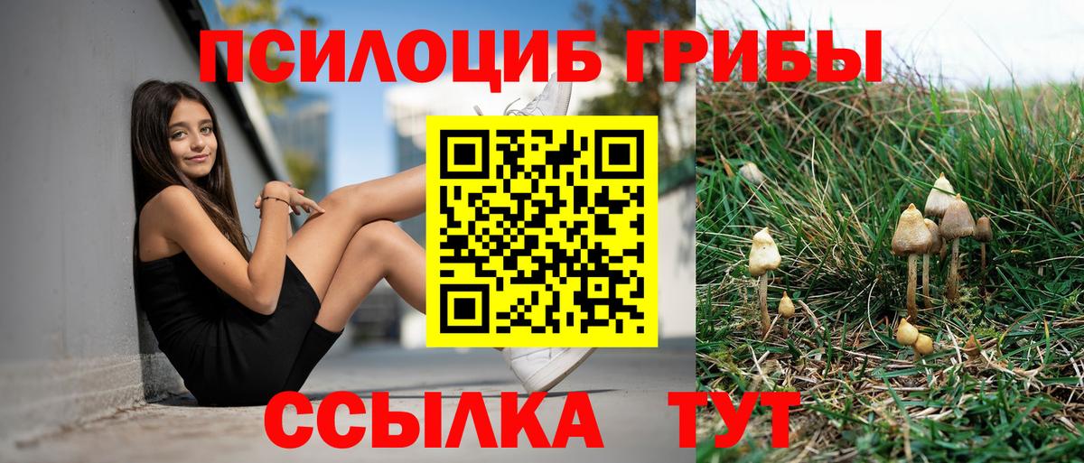 Галлюциногенные грибы MAGIC MUSHROOMS Будённовск