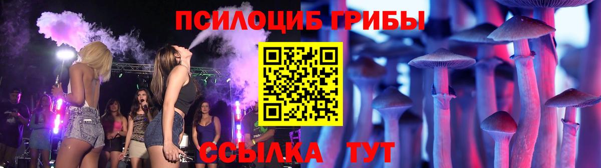 Будённовск  Псилоцибиновые грибы мицелий  Вход с VPN  Галлюциногенные грибы мицелий 